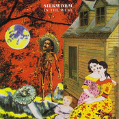 Into The Woods by Silkworm
