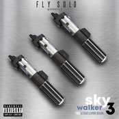Skywalker 3