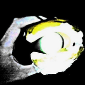 In Flagrante Delicto