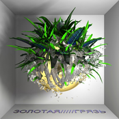 ЗОЛОТАЯ-----ГРЯЗЬ