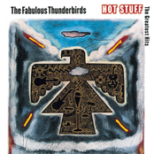 Got Love If You Want It by The Fabulous Thunderbirds