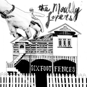 Six Foot Fences / Ship of Fools - Single