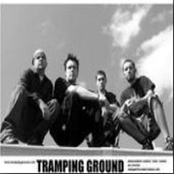 A Sequenced Unity Of Confessions