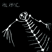 Animal/ Shadow Of Life