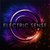 Electric Sense