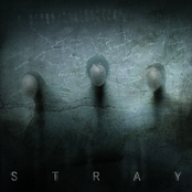Stray