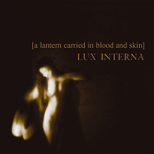 [a lantern carried in blood and skin]