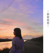 -依依恋恋-
