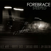 Steeped