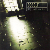 Great American Lies by Cobolt