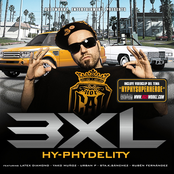 Hy-Phydelity