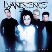 Evanescence: Not for Your Ears
