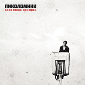 Bela ptica, crn bran