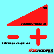 Schraege Voegel