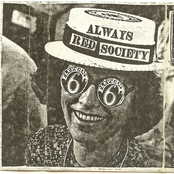 Giant Chocolate Think Tank Blues