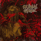 On Solid Ground (2024 Remaster)