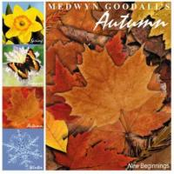 A Gentle Rain by Medwyn Goodall