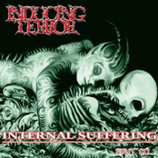 Internal Suffering / Inducing Terror - Split