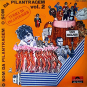 O Som da Pilantragem Vol 2