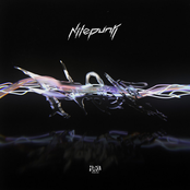 Nitepunk: Flow