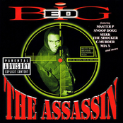 Assassin by Big Ed