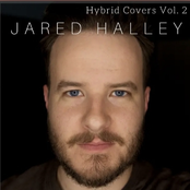 Hybrid Covers, Vol. 2