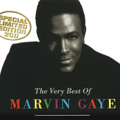 When I Feel The Need by Marvin Gaye