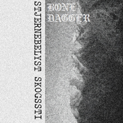 STJERNEBELYST SKOGSSTI