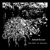 Abstrrakt Torrment