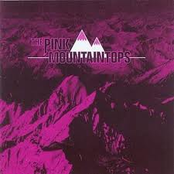 Pink Mountaintops: Pink Mountaintops