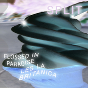SPLIT EP
