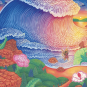 What can we grow that we can't see from here?