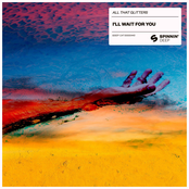 I'll Wait For You (feat. Chaz Mason) - Single