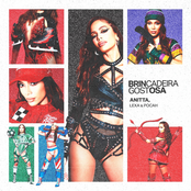 Brincadeira Gostosa - Single