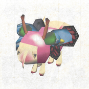 Feeble Little Horse: This Is Real