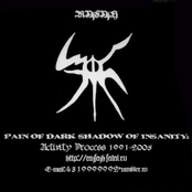 Pain of Dark Shadow of Insanity: Activity Process 1991-2005