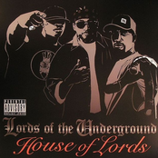 What Yall Wanna Know by Lords Of The Underground