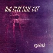 Big Electric Cat