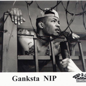 ganksta nip