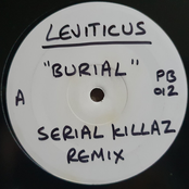 Big Bad & Heavy (Remixes)