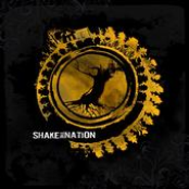 Ride It Out by Shake The Nation