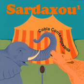Sardaxou 1