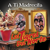 Madrecita Querida by Los Tigres Del Norte