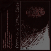 necrophilic legacy tapes