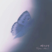 蝶影晨梦（Butterfly Morning Dream）