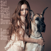 Sit! Stay! Wait! Down! / Love Story cover
