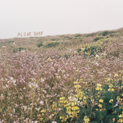 Algae Days