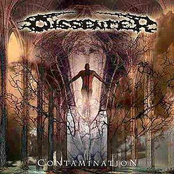 Contamination by Dissenter