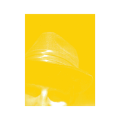 Adventures in Rainbow Country