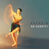 O Tapete by Ná Ozzetti